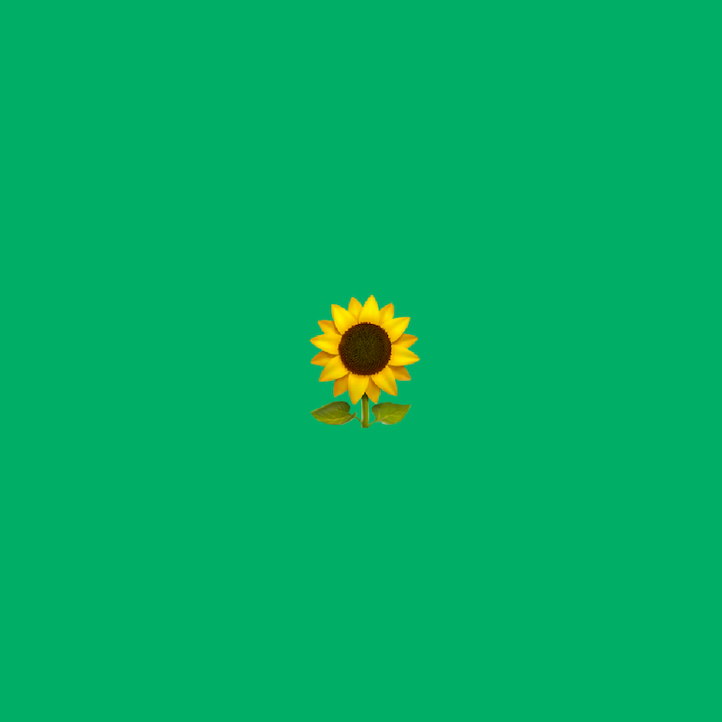 sunflower emoji on light green background